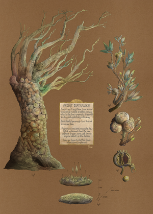 Boombark-tree-by-enuryn.webp