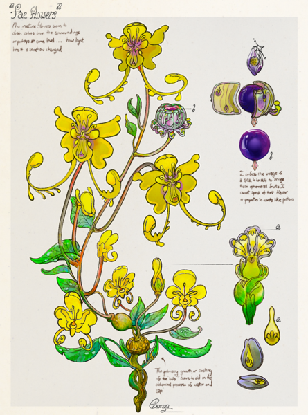 File:Faerie-flowers colors.png