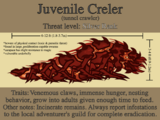 Juvenile Creler factsheet