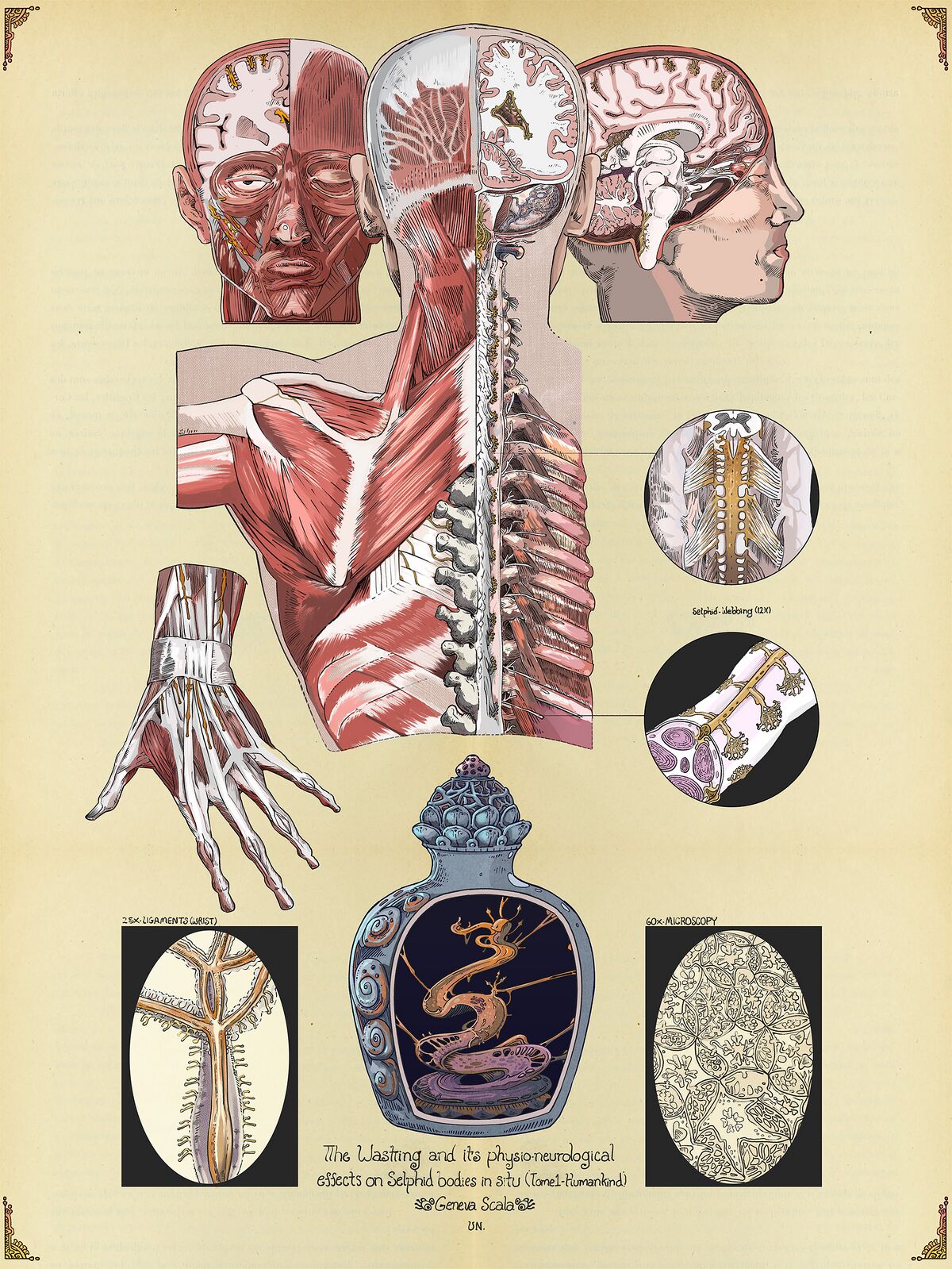 Selphids The Wandering Inn Wiki