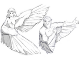 Harpy and Garuda