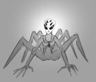 Shield Spider girl