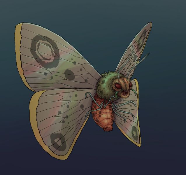 File:Face-Eater Moth by LeChatDemon.jpg